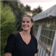 Soutien scolaire, Aide aux devoirs, pratique oral et écrite de la langue, échange et discussion (en anglais)